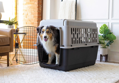 Verifying recycled content in pet products