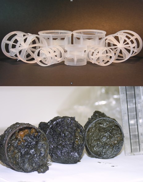 An image of packing material - Pall Rings – in clean state and also with biofouling built-up